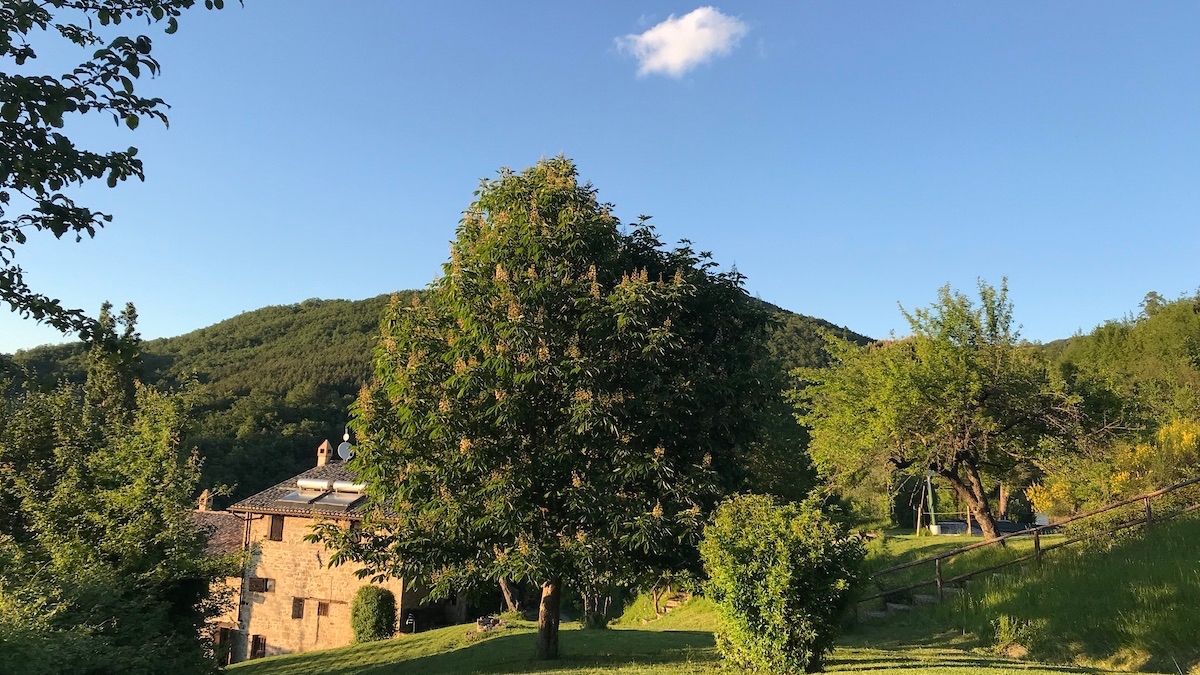 batch_batch_IMG_0686