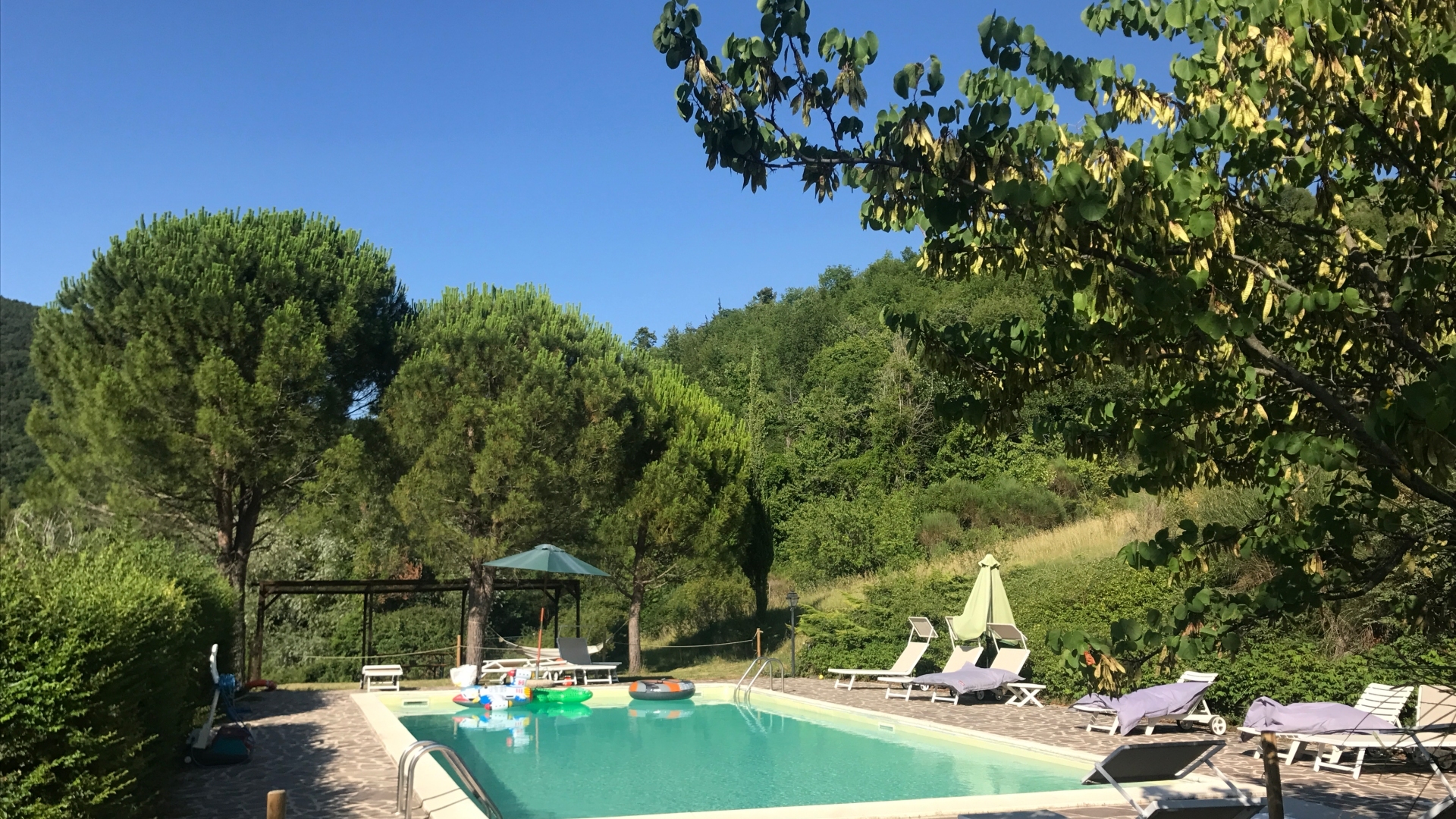 batch_batch_IMG_3168