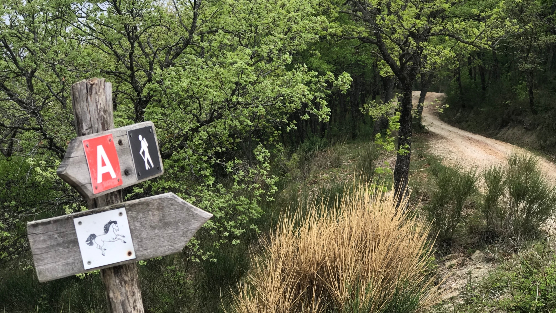 batch_batch_IMG_4767