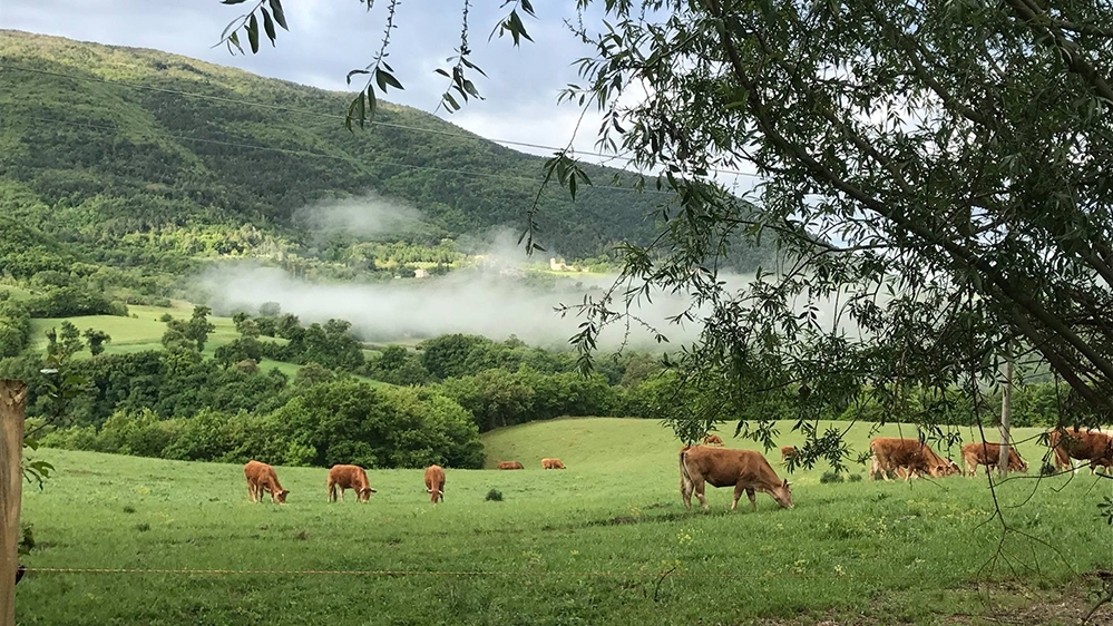 batch_batch_sentiero-parco-del-subasio-umbria