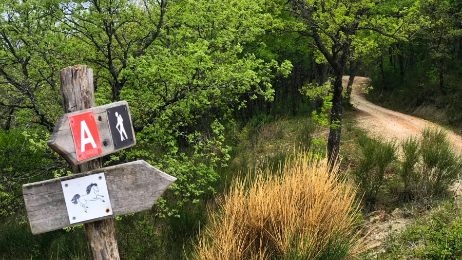 Yoga practice outdoor